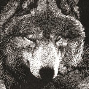 Lithograph Wolf print by Artist Keith Powell